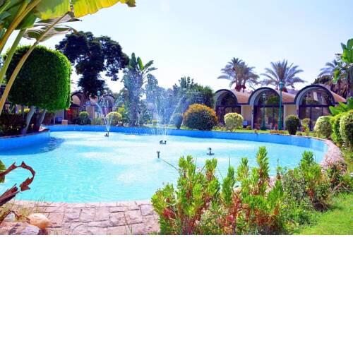 The pyramids green oasis