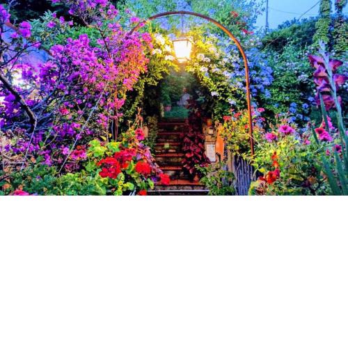 The Secret Garden Maratea - Casa di Elena