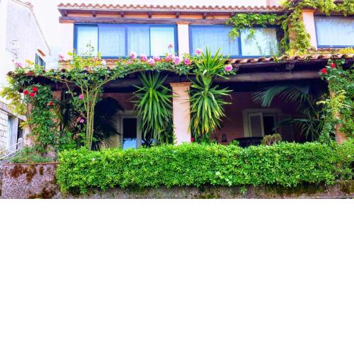 The Secret Garden Maratea - Casa di Sery