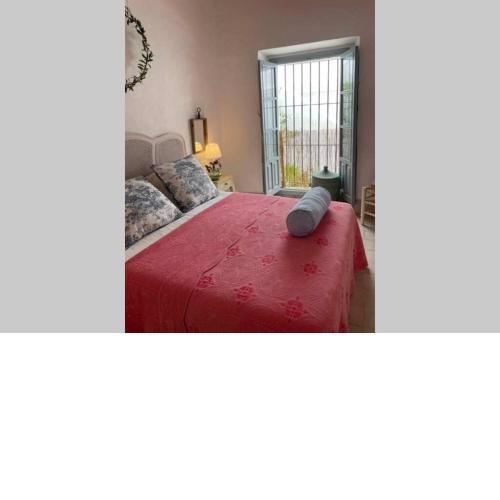 The Traveller`s house AntiQua centro de Vejer con wifi