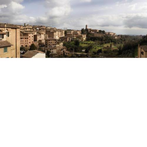 The View: Boutique apartment near Piazza del Campo
