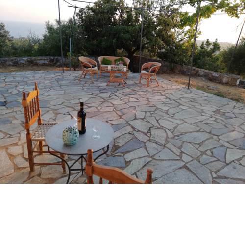 Theasea house with garden