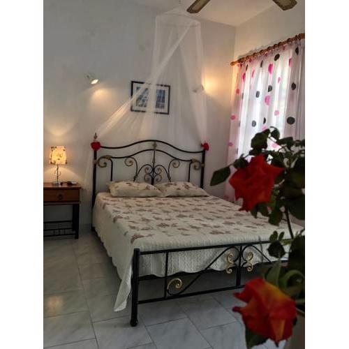 Theodora Rooms