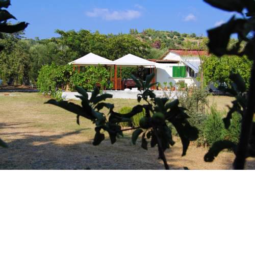 Theofano seaside farmhouse in Skioni, Halkidiki