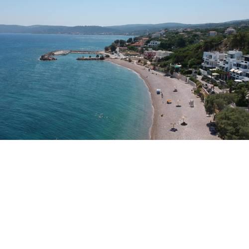 Theoxenia Chios