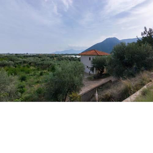 Thodoris's Rock house 2