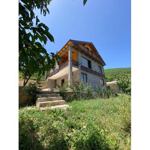 Three Bedroom Family Villa Pogradec