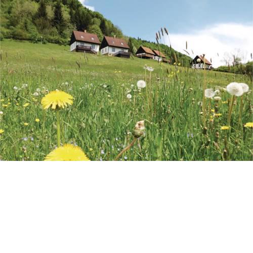 Three-Bedroom Holiday Home in Starkov