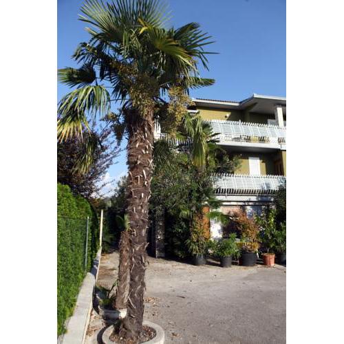 Time Travel Apartment IM