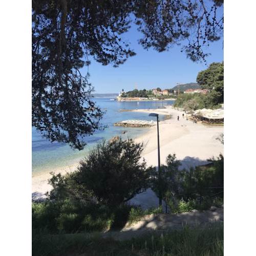 Tinel Split