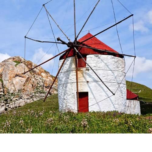 Tinos Suites & Apartments