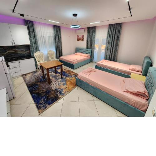 Tirana Class House