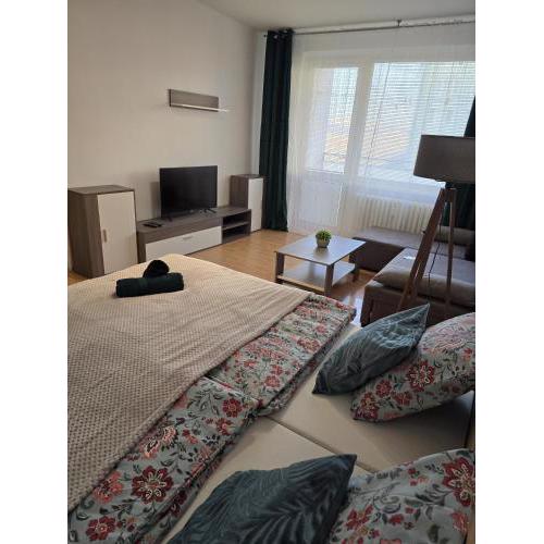 Tobi apartment