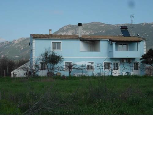 Tom's House
