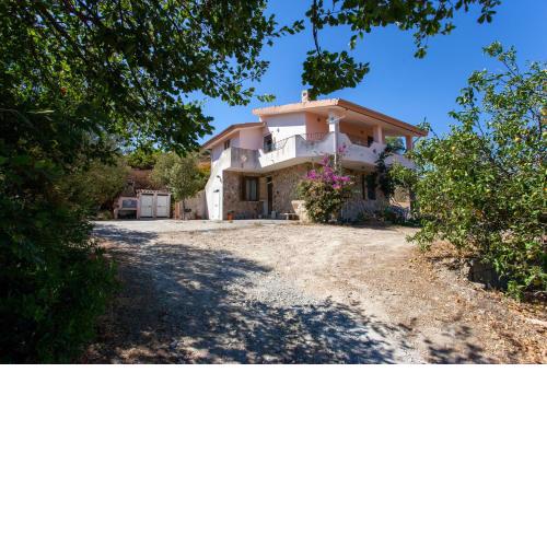 Top view in country house