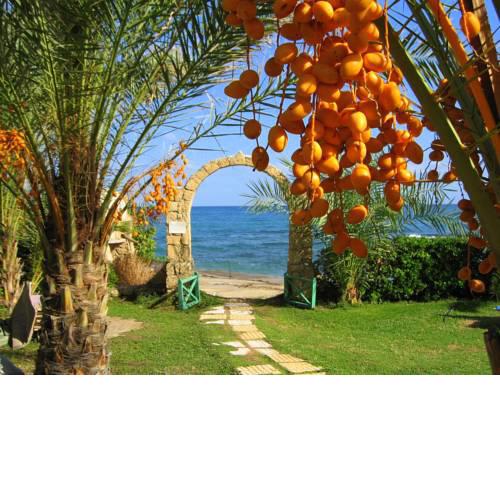 Topset Beachfront Resort