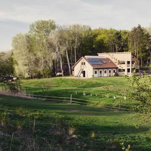 Töreki home