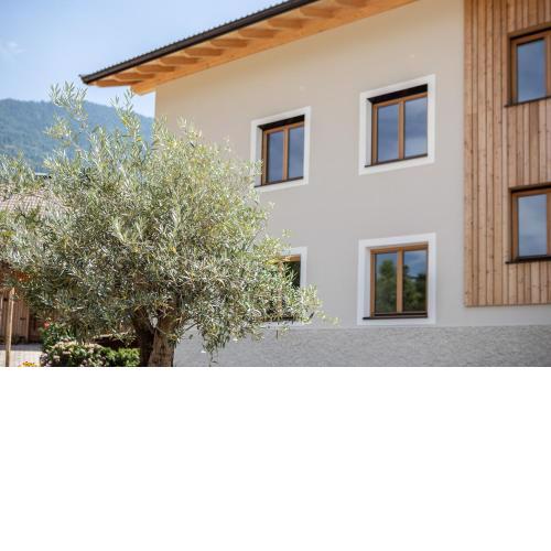 Torgglbauer Apartment 2