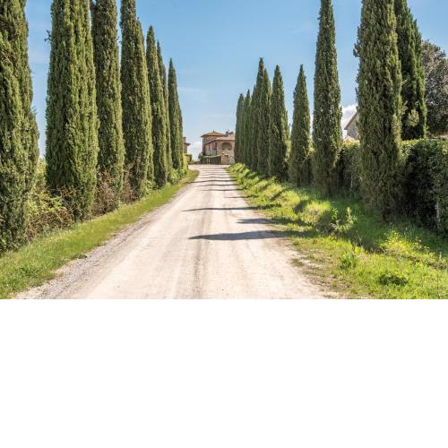 Torre di Corsanello