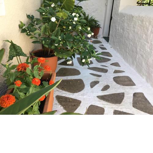 Toula's house 2