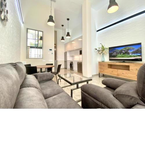 Tr2 amplio y moderno loft cartuja de sevilla