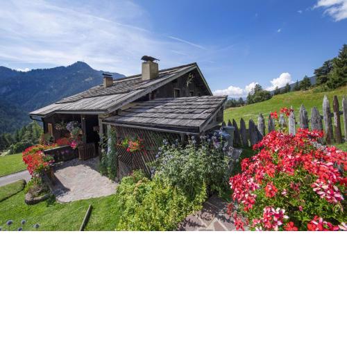 Traditional Apartment Trebe