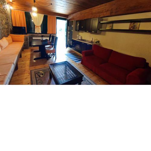 Traditional cozy apartment in Livadi Parnassos (2)+(3)
