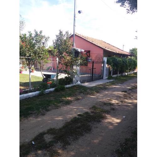 Traditional House