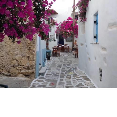 Traditional House