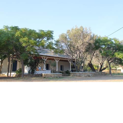 Traditional Summer House