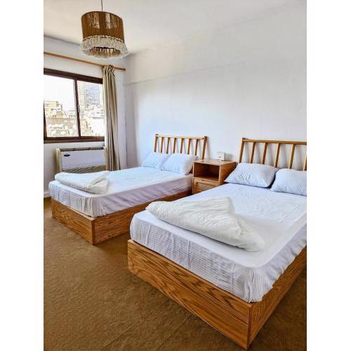 Tranquil Condo in Zamalek