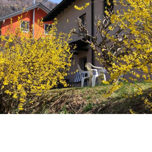 Tranquillità