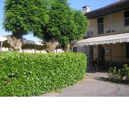 Trattoria Due Citroni