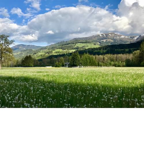 Traumhafte Wohnung auf Pferde Ranch