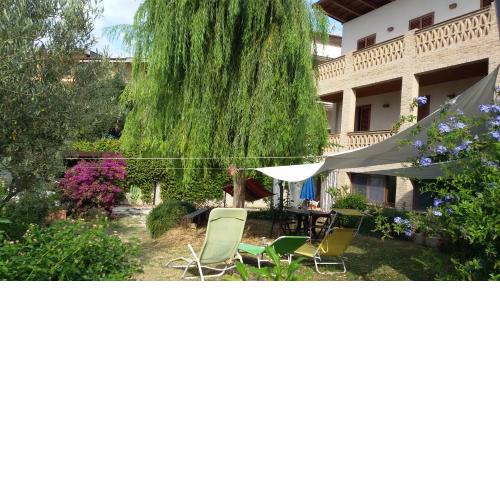 Tre cammelli in collina