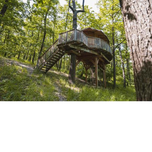 TREE HOUSE U Mravence
