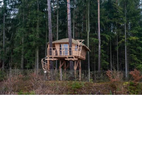 Treehouse Ralsko resort