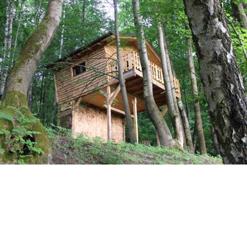 Treehouse Velké Losiny