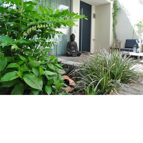 Trend Apartment