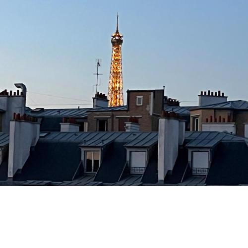 Très bel appartement Grenelle