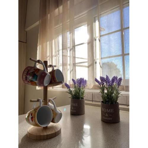 Trikala Cozy Apartments