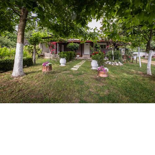 Trikala family & pet friendly House