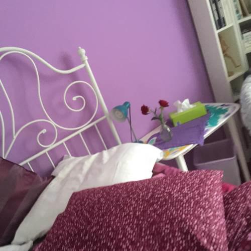 Trimbach Heights Bed & Breakfast
