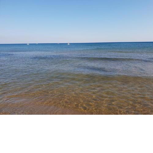 Triscina 83