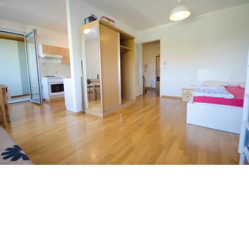 Trnovo apartment