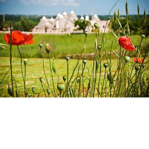Trulli Il Castagno