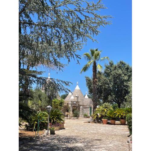 TRULLO FERNANDO