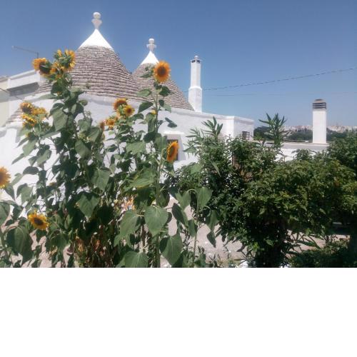 Trullo in piena valle d'itria
