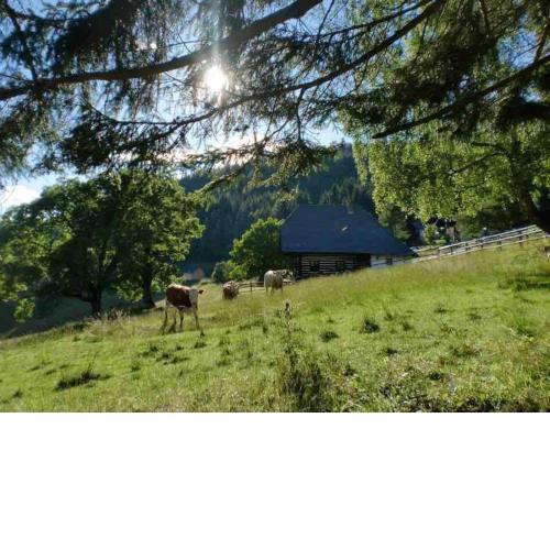 Tschetsch Hütte