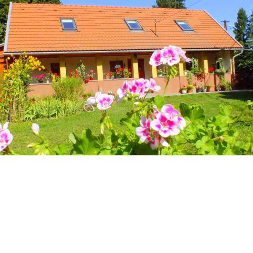 Tulipán Ház